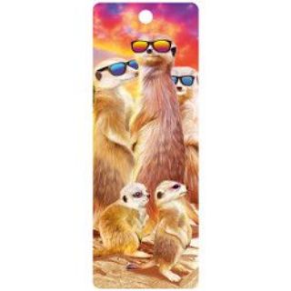 Obrázek z Záložka 3D 15,5x5,7cm - surikaty s brýlemi (25) 